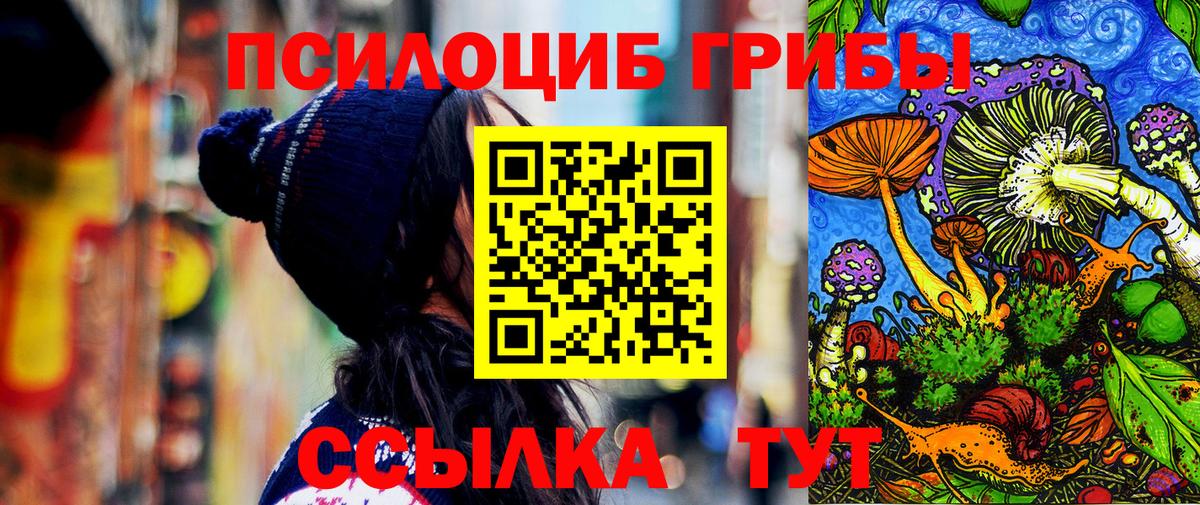 Псилоцибиновые грибы GOLDEN TEACHER  дарнет шоп  Прокопьевск  Вход с VPN  Галлюциногенные грибы ЛСД 